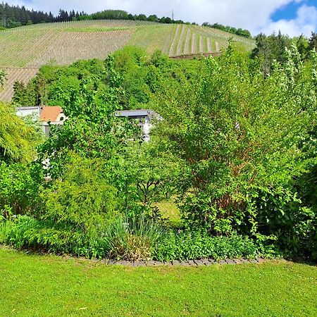 Ferienwohnung Heiming Саарбург Экстерьер фото